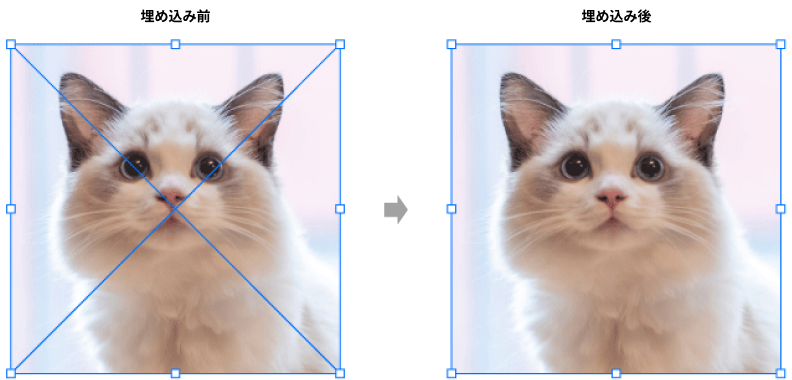 illustratorデータ作成 ラスタライズ | CDプレス・DVDプレス 株式会社